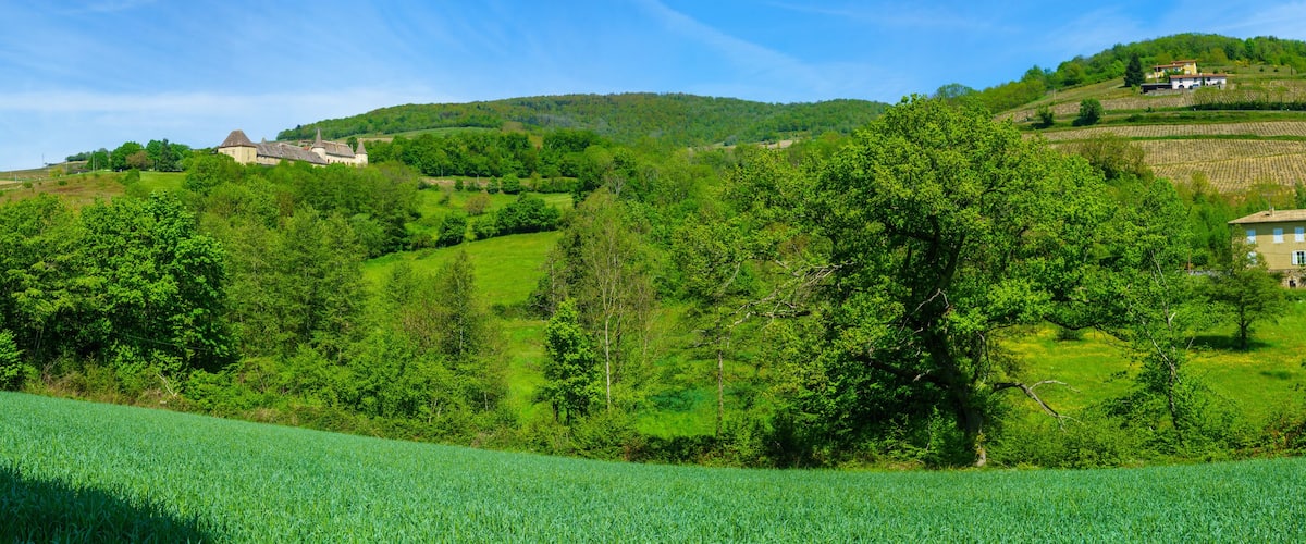 A lush green landscape with rolling hills, a castle, and a house on a hill.