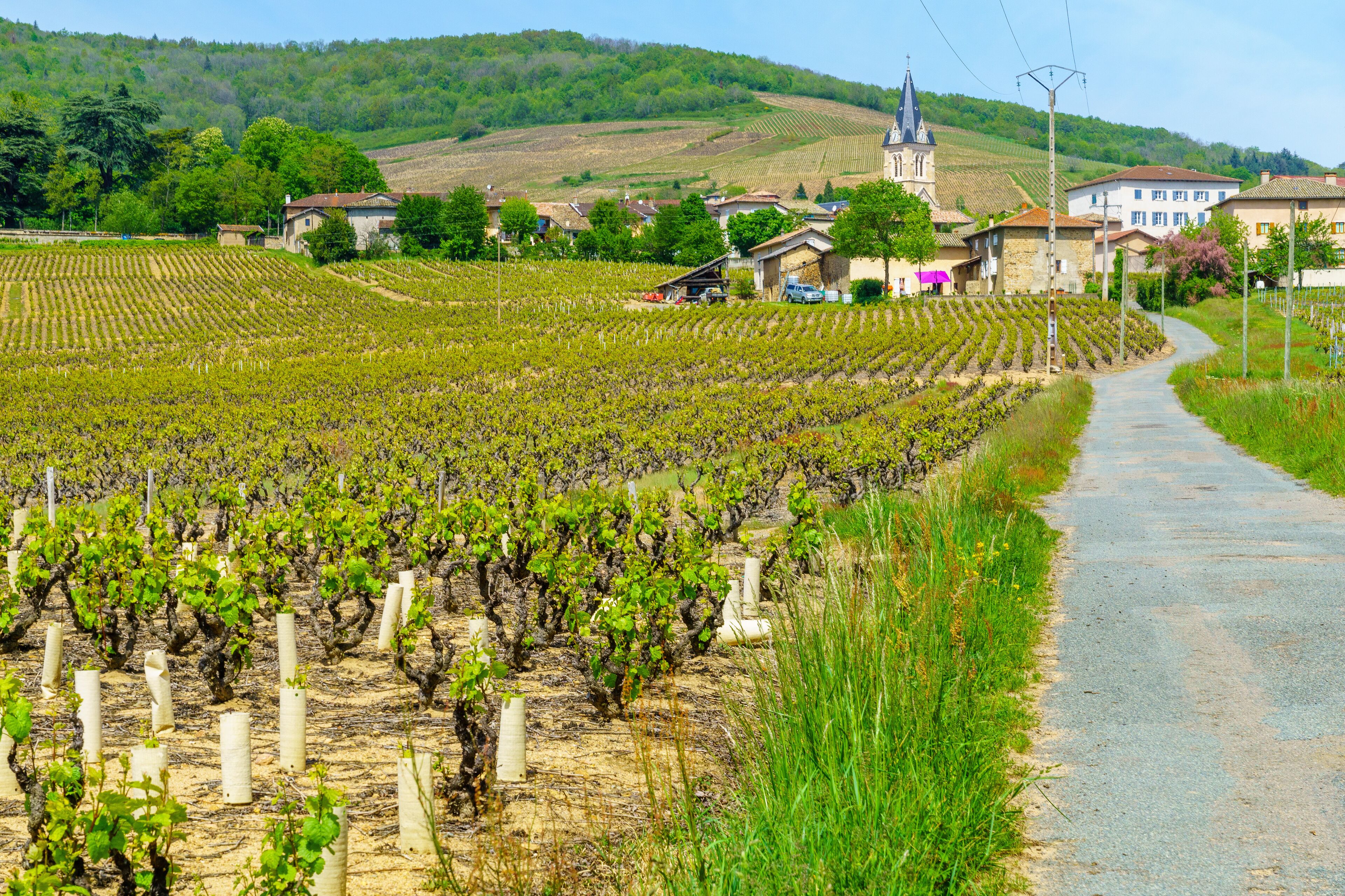 Quincie-en-Beaujolais