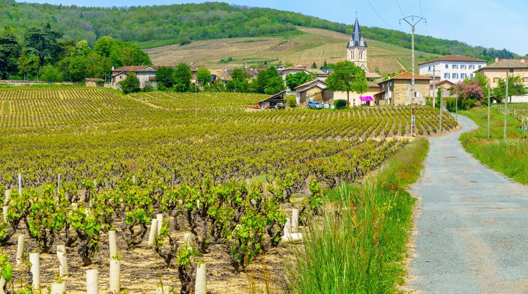 Quincie-en-Beaujolais