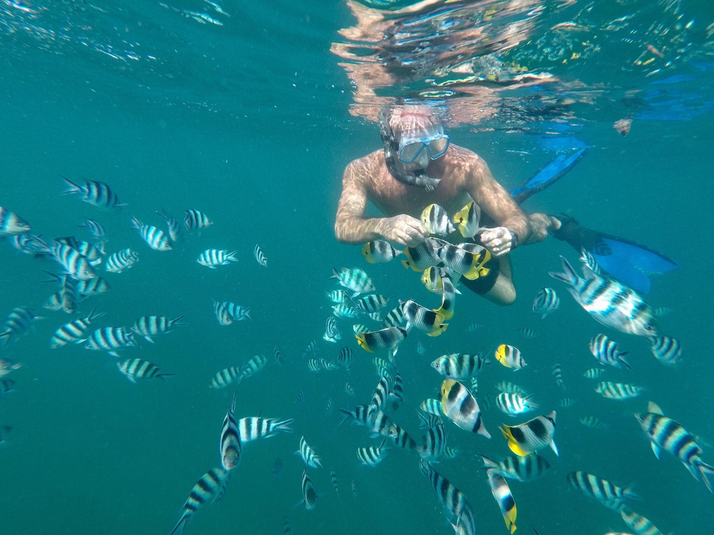 Snorkeling with the fish, Agana Bay, Guam
GoPro Hero 5 #Aquatrove