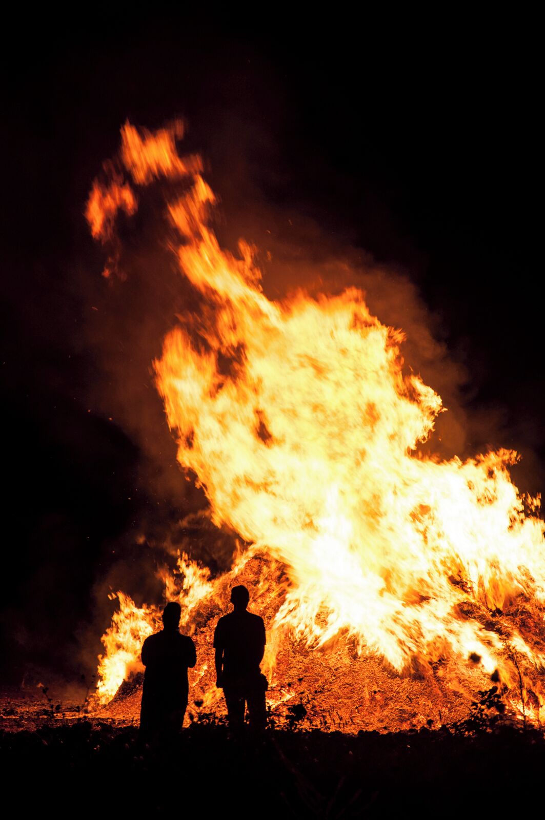 The word focara (Fòcara) is a dialect term of Salento, and other southern dialects, which indicates a bonfire of wood to burn. Currently the term is used to denote the particular traditional rite in use in almost all municipalities of Salento to create piles of fagots at the crossroads of the city and set him on fire on the eve of the liturgical feast of St. Anthony Abbot. Around this blazing pyre are used to hold back, to spend the evening, the families who built it. Where did this tradition has its origin is not certain: probably from ancient pagan rituals.
