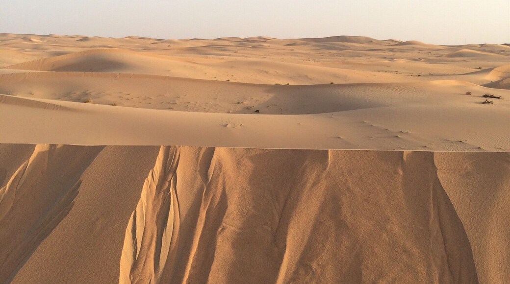 #throwbackphoto
Desert Dunes in #AbuDhabi, UAE last September!
These desert areas near Abu Dhabi are not a formal #NationalPark; however, I reckon they are close to it!
#Trivia - my daughter told me that the almost horizontal line looks like I have stuck two pictures together. In reality the line is sharp drop off ridge in the desert dunes.
Hair raising desert #Roadtrip!
#iPhoneonly