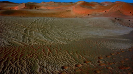 A cool day in the desert!