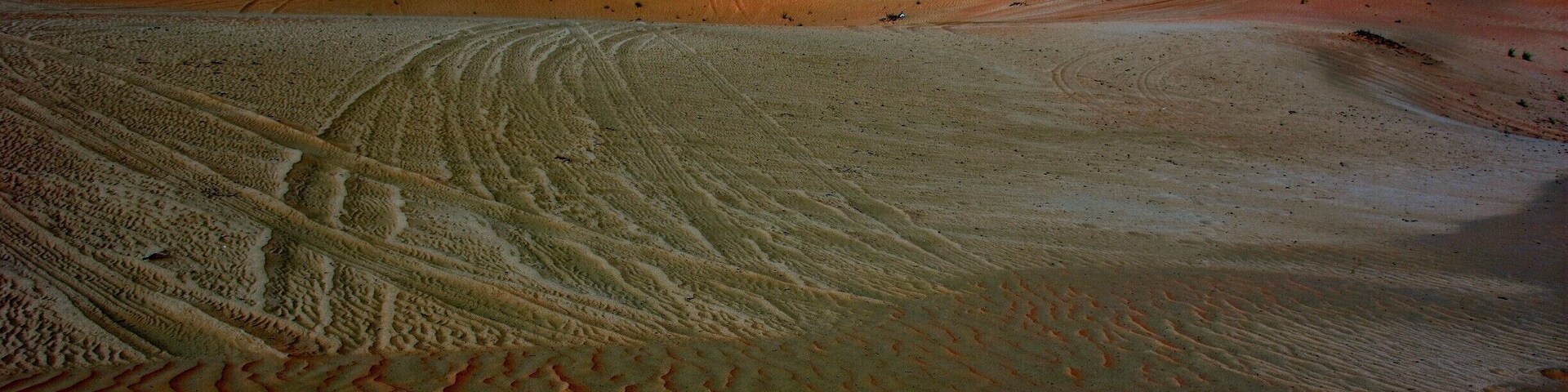 A cool day in the desert!