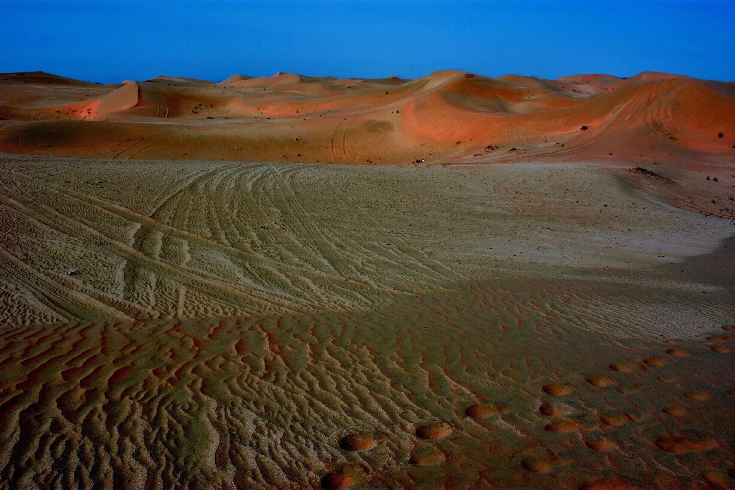 A desert landscape with undulating sand dunes and tire tracks.