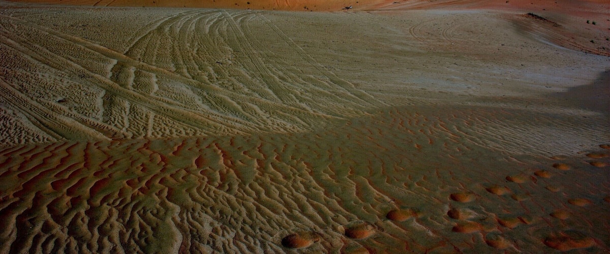 A desert landscape with undulating sand dunes and tire tracks.