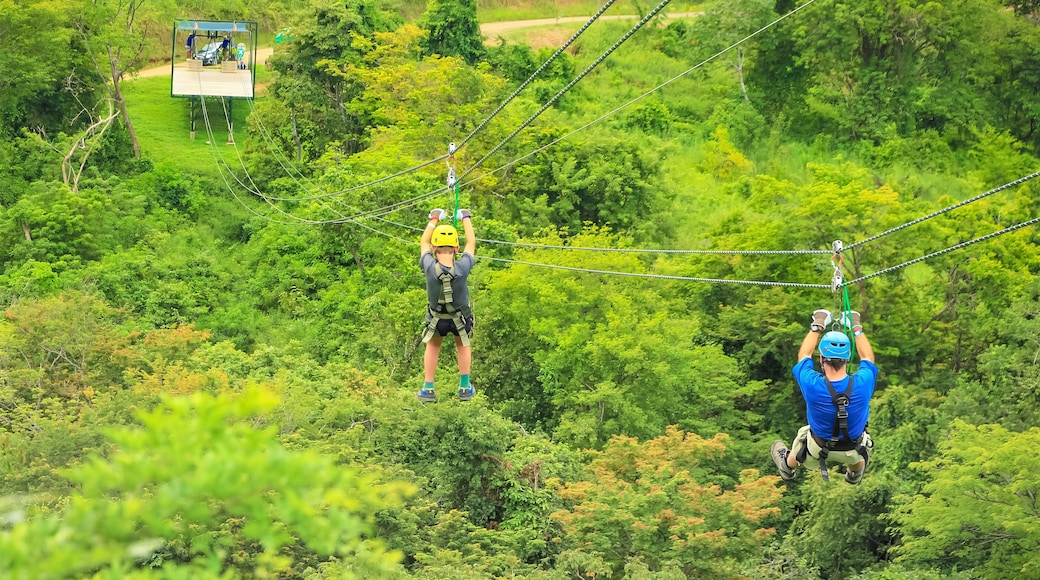 Tirolina Adreneline Rush