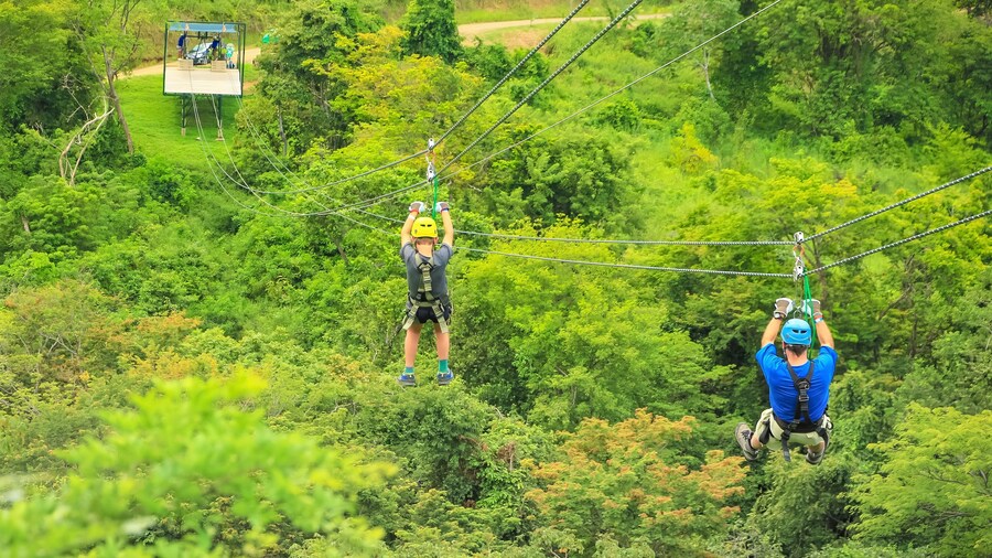 Adreneline Rush Zip Line