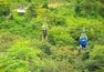 Adrenaline Rush Zip Line