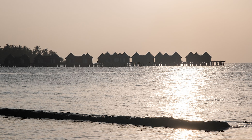 ์ฟ ๋คํํ๋ํ