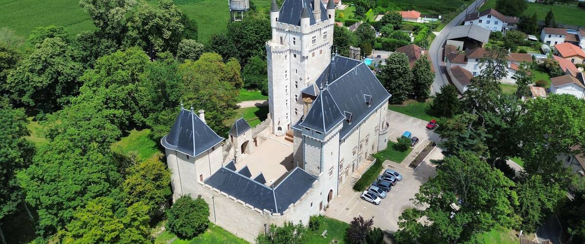 An aerial view of a castle with a tower, surrounded by lush greenery and a village.