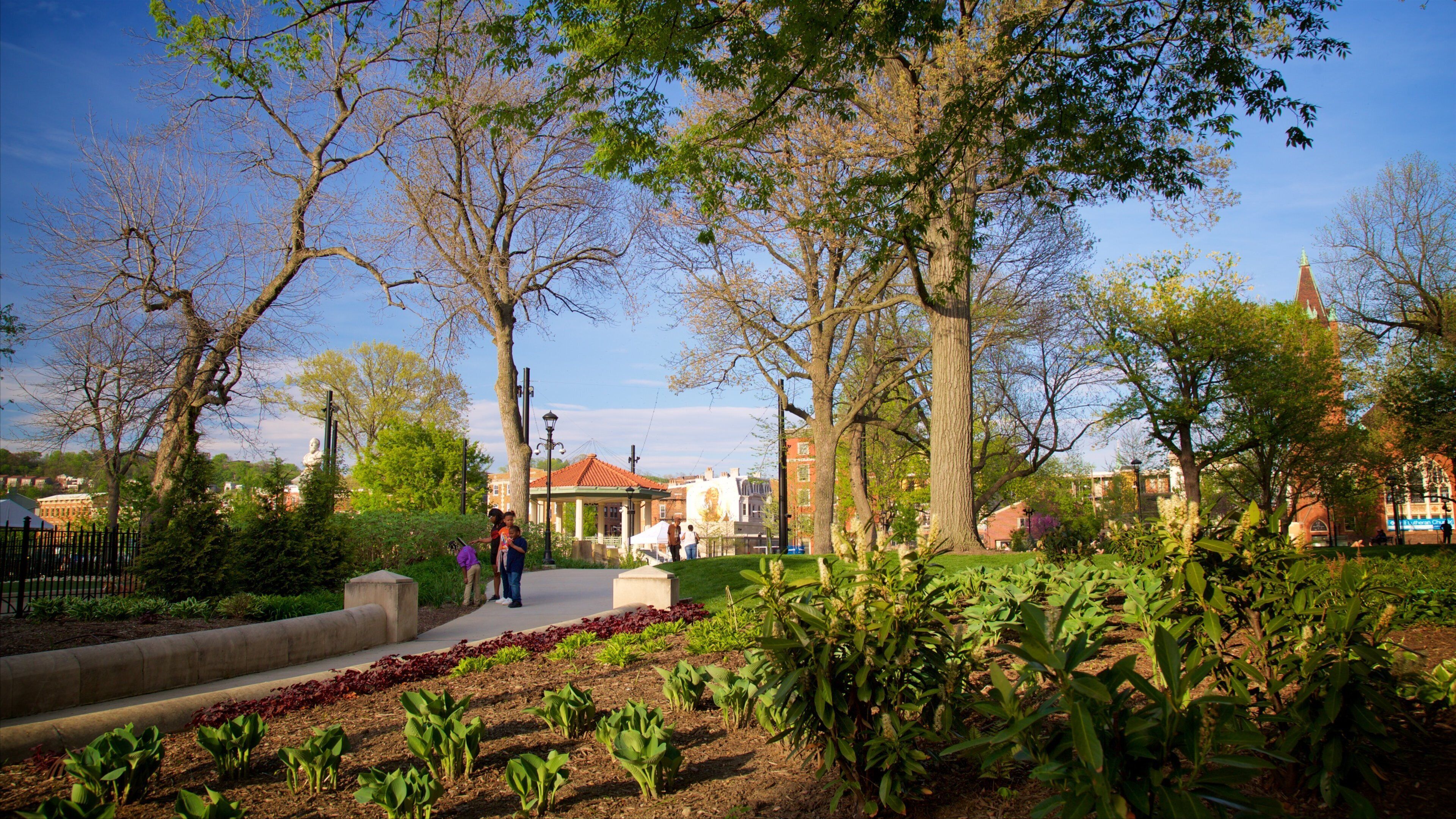 Washington Park showing a park
