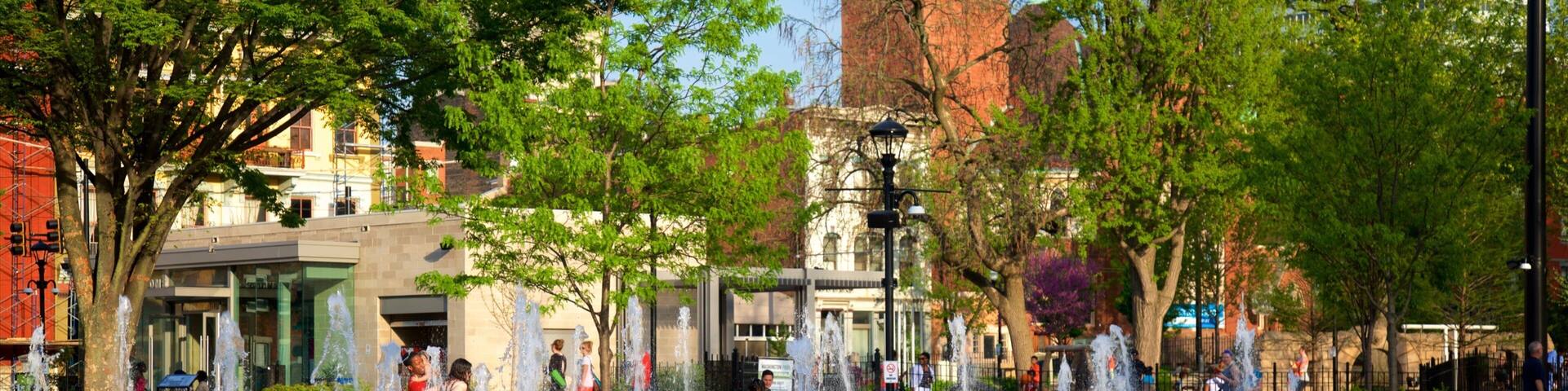 ワシントン パーク