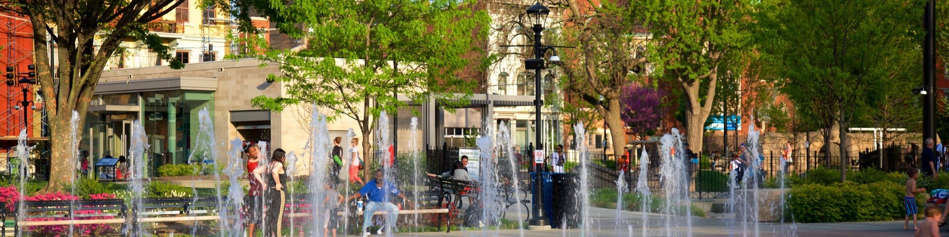 Parque Washington que incluye una fuente y una plaza