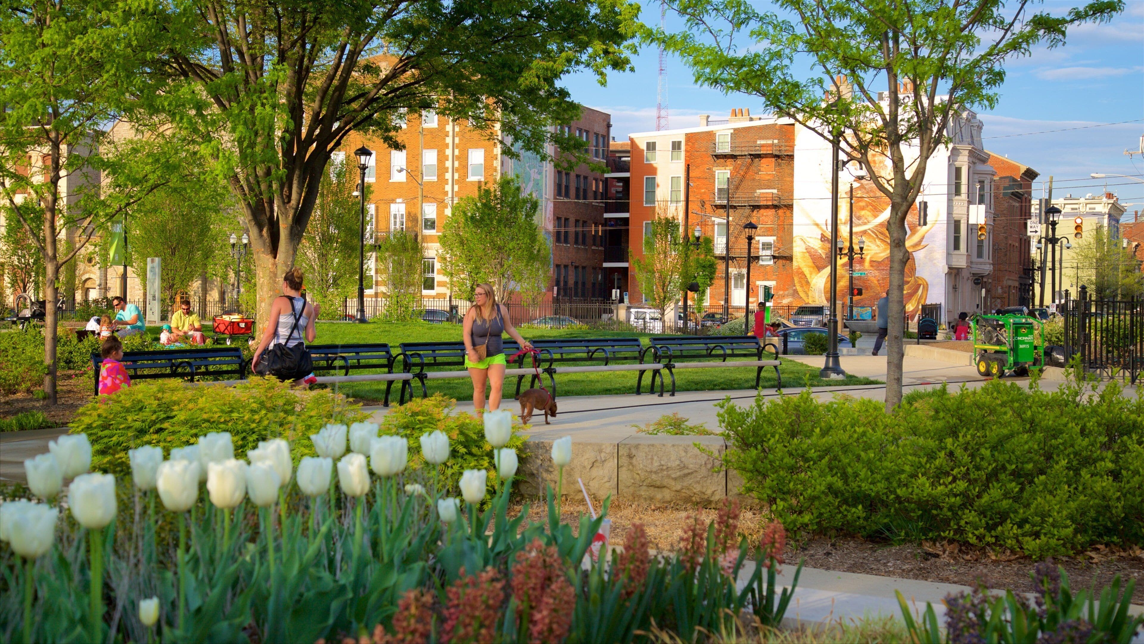A park with benches, tulips, and walking paths.
