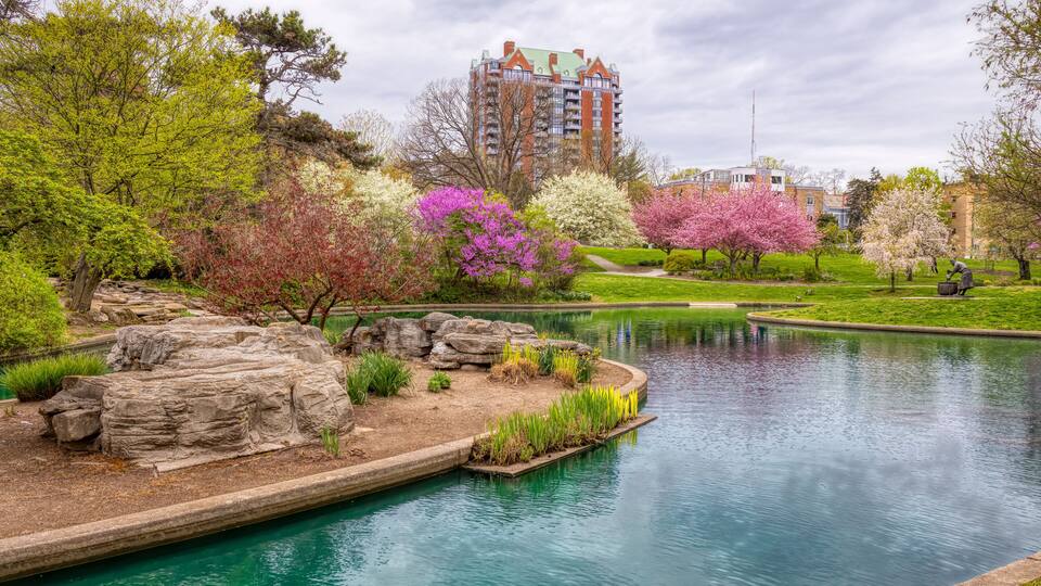 Blooming Flowers and Trees in Spring in Eden Park, Cincinnati, USA