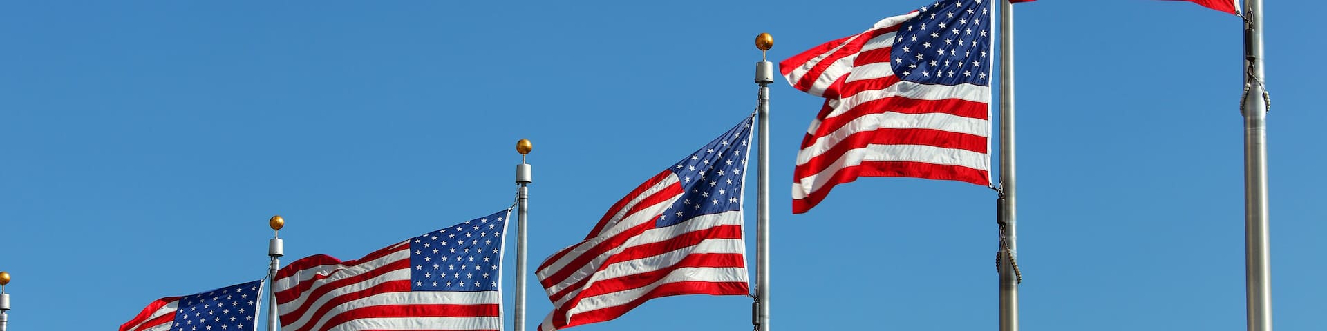 USA Flags at the Washington Monument blowing in the wind