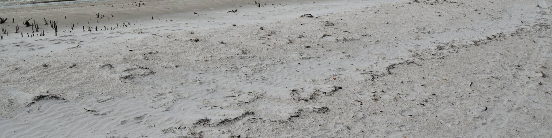 Fort De Soto, Florida