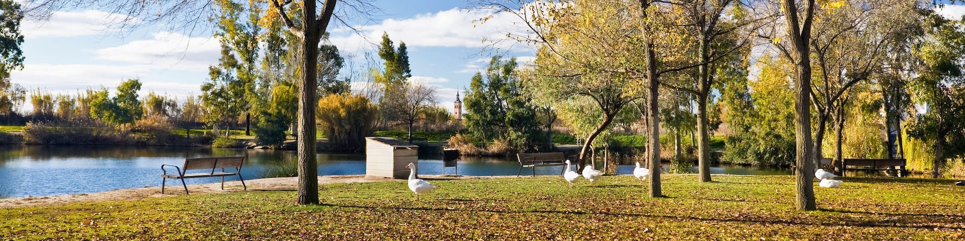 Estanque en San Martín de la Vega