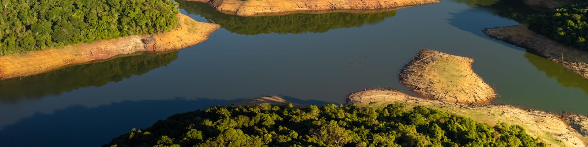 aerial view of the Atlantic forest in Sao Paulo state in Brazil during sunrise showing the nature and a lake