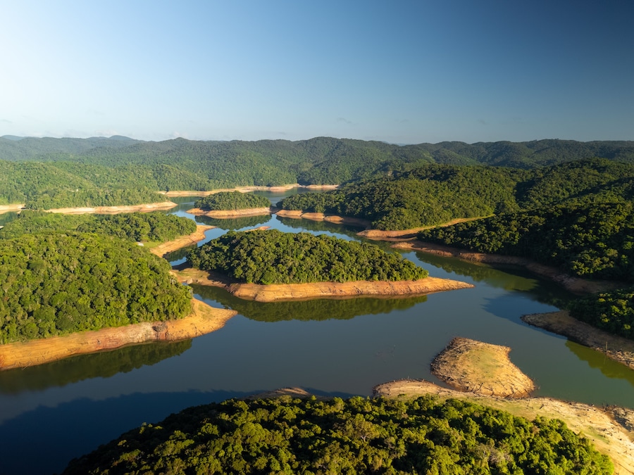 aerial view of the Atlantic forest in Sao Paulo state in Brazil during sunrise showing the nature and a lake