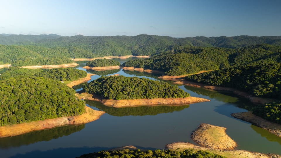 A river meandering through a dense forest with multiple islands and a clear sky.
