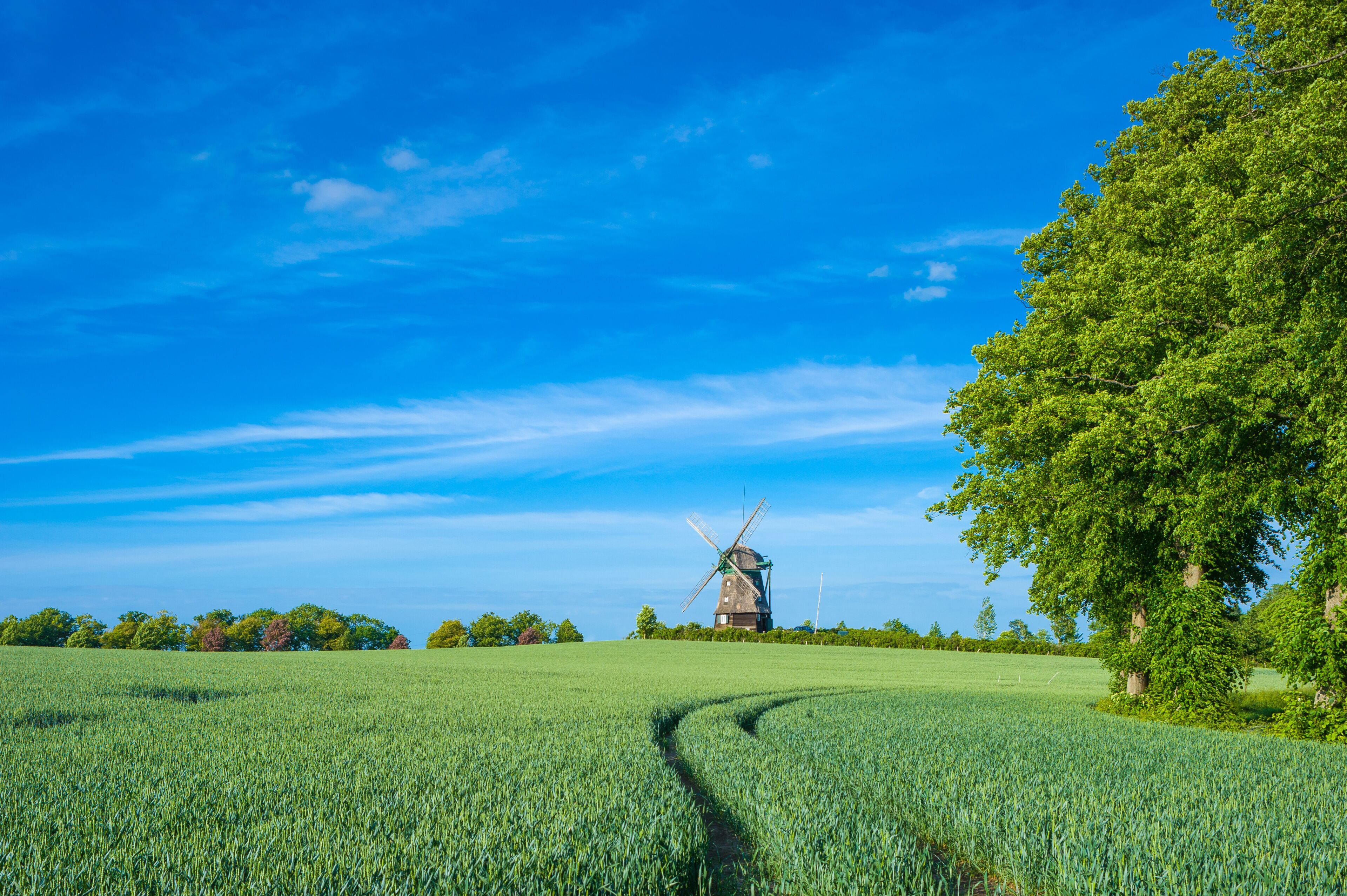 Farver Mühle bei Wangels