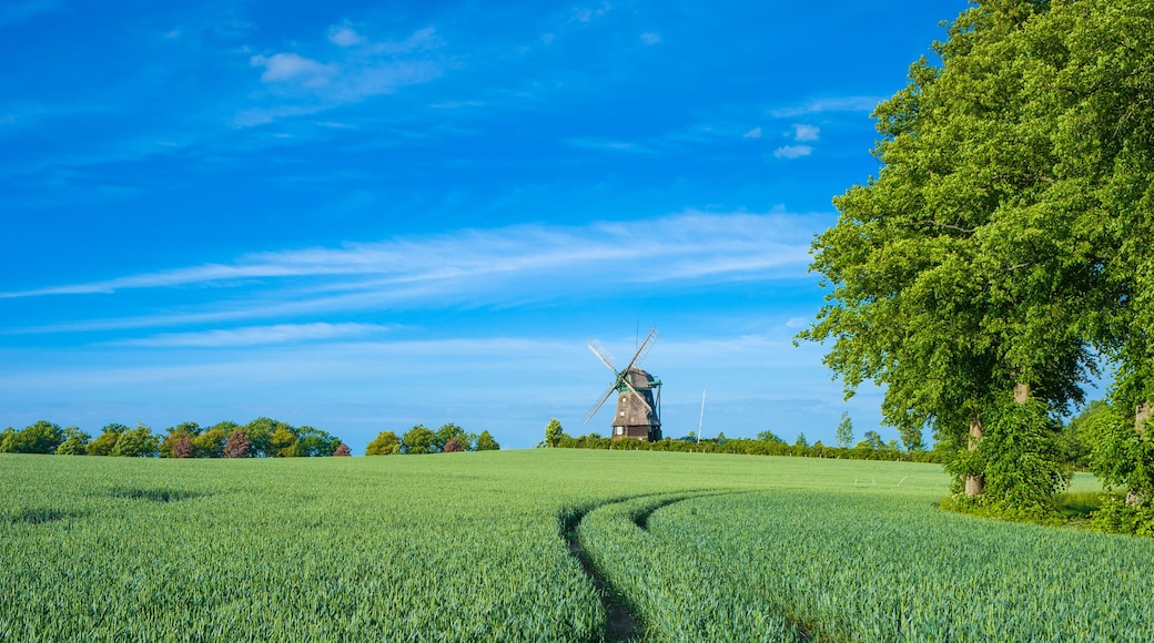 Farver Mühle bei Wangels
