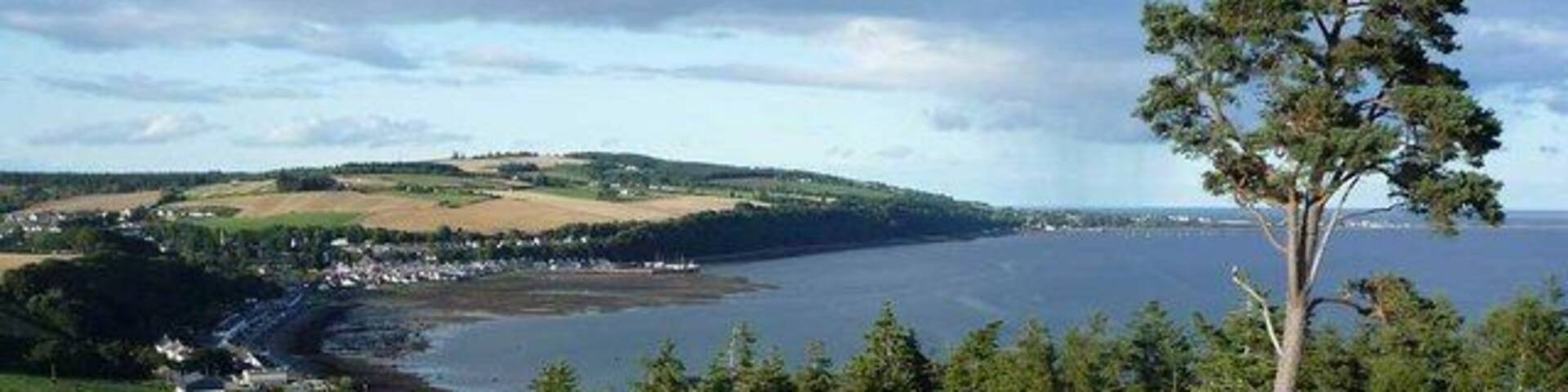 The northern Scots Pine on Ormond Hill Two Scots Pine trees dominate the crest of Ormond Hill. This is a view along the crest of the hill showing the northern of the two Scots Pine trees. Beyond the hill lies the small town of Avoch with its harbour at low tide.