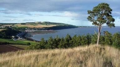 A coastal landscape with a prominent tree, grassy fields, and a distant shoreline.