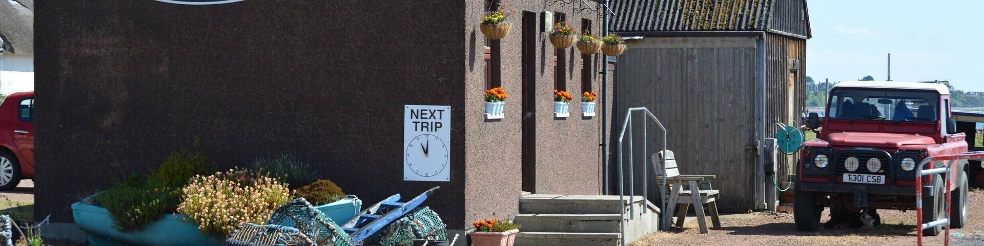 #EndlessSummer , great people to go dolphin watching with in the Moray Firth . say hello to spud the dog :)