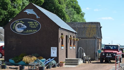 #EndlessSummer , great people to go dolphin watching with in the Moray Firth . say hello to spud the dog :)