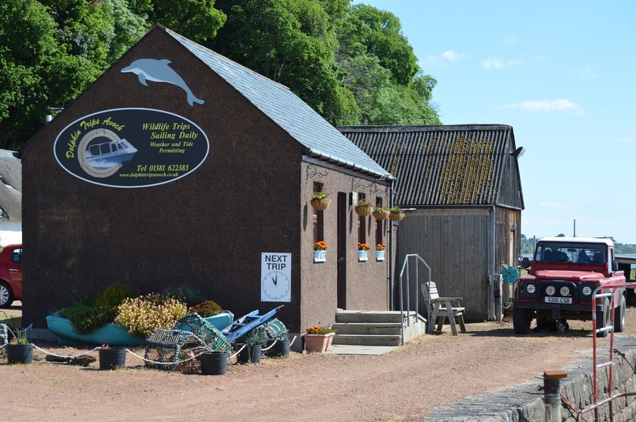 #EndlessSummer , great people to go dolphin watching with in the Moray Firth . say hello to spud the dog :)