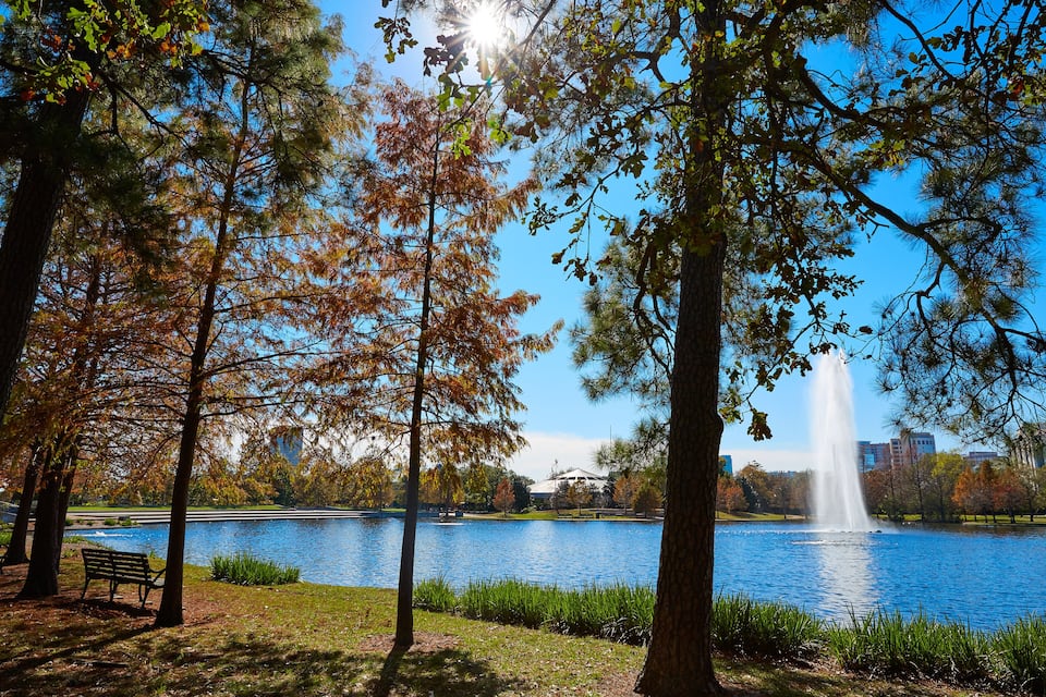 Un lago con una fuente, rodeado de árboles y un banco.