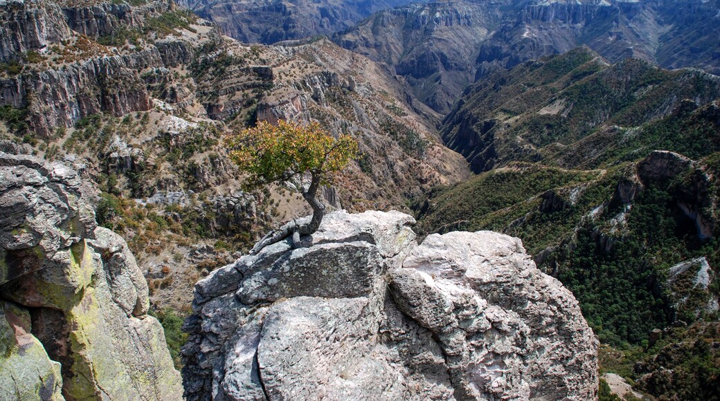 Landscape in Barranca del Cobre