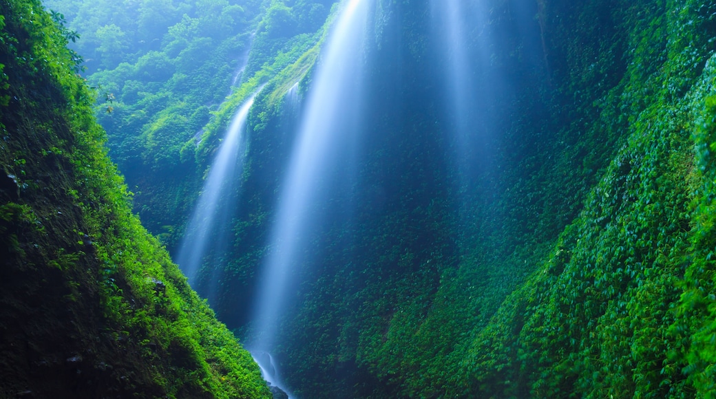 Madakaripura Waterfall, East Java, Indonesia