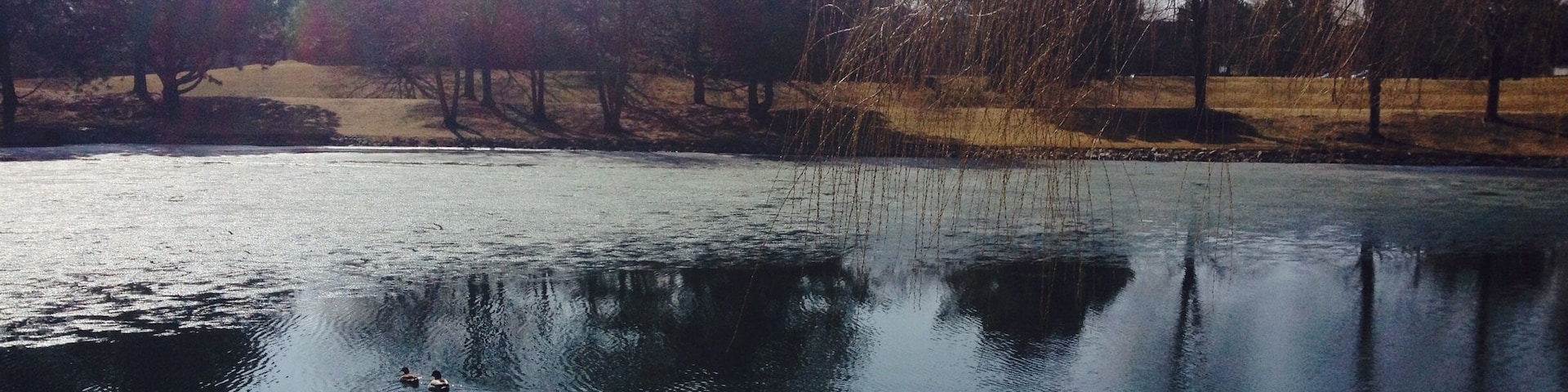 Beautiful morning , the small pond is still frozen.
