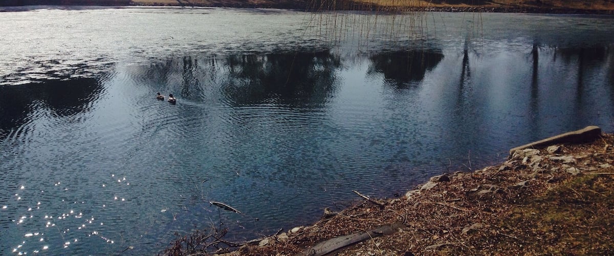 Beautiful morning , the small pond is still frozen.
