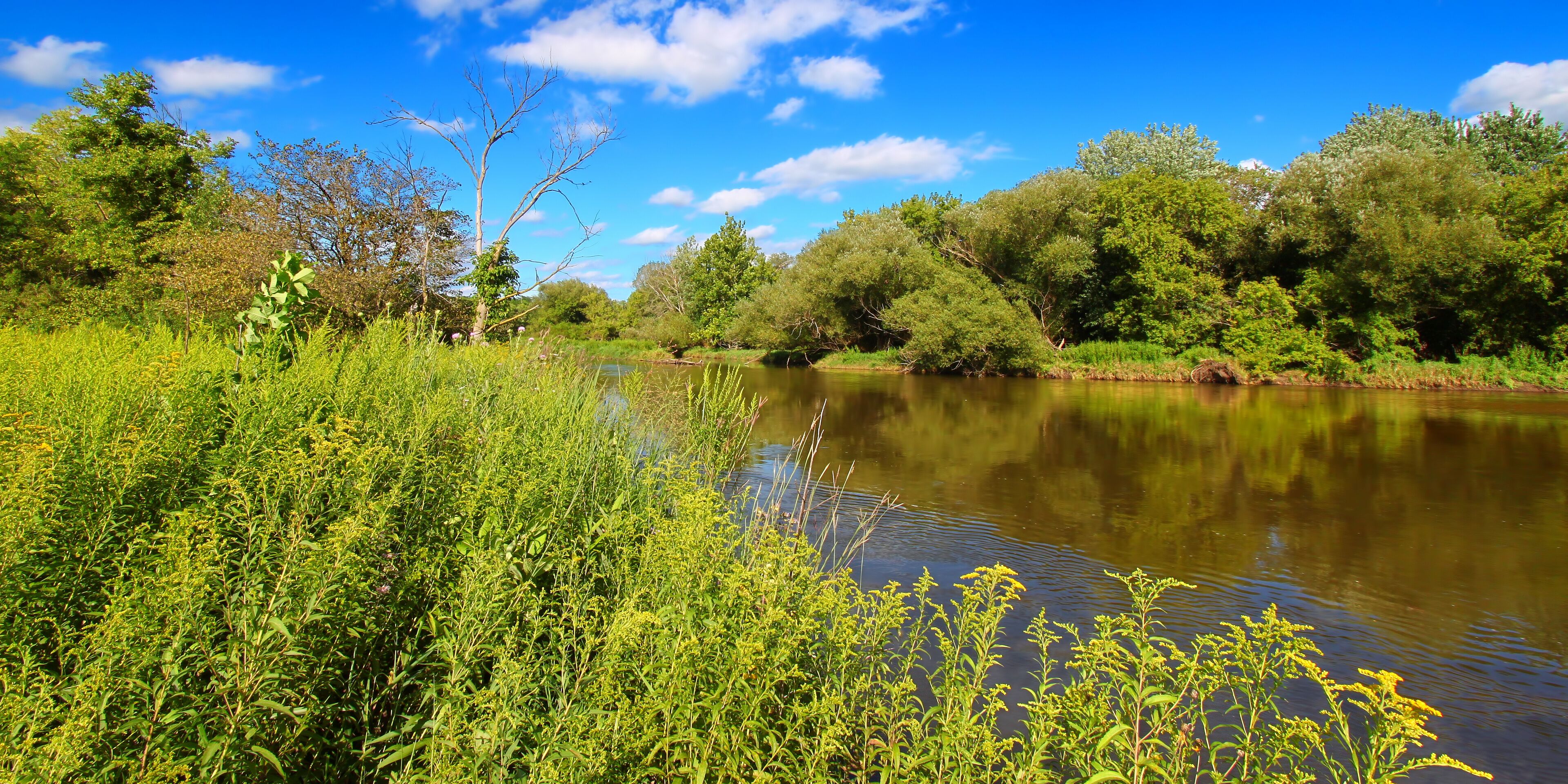 Kishwaukee River in Northern Illinois