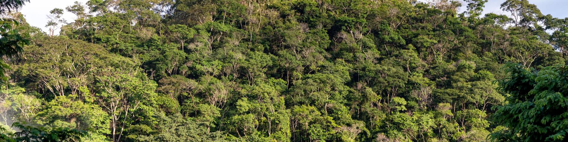 Small hill, covered by dense tropical forest, with blue sky in the background, Areal city, state of Rio de Janeiro, Brazil