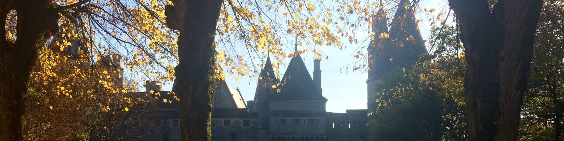 October 🍂☀️🍄🐌