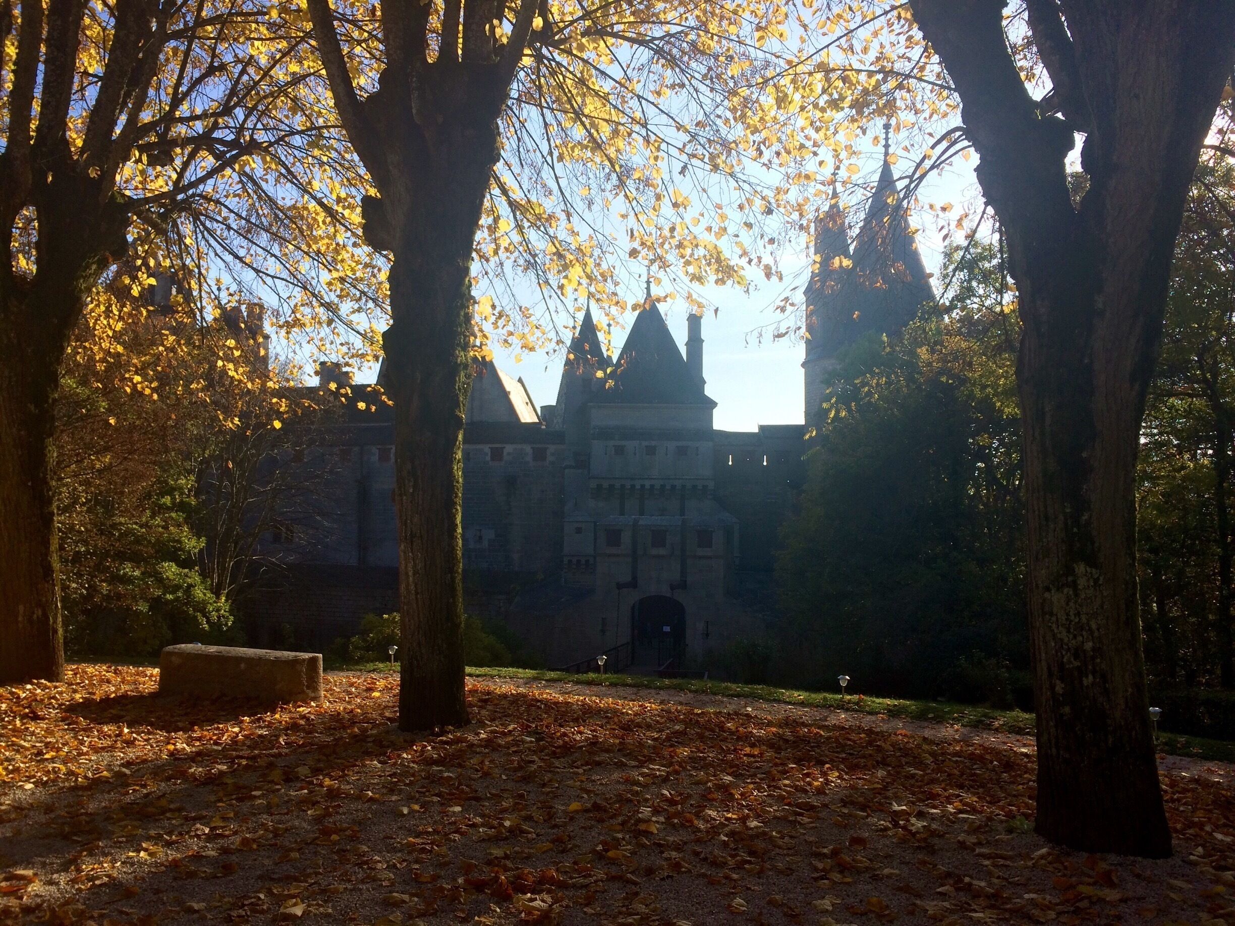 A park with trees and a historic building in the background.