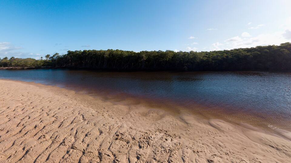 A sandy beach with gentle waves, a clear sky, and a forested island in the background.