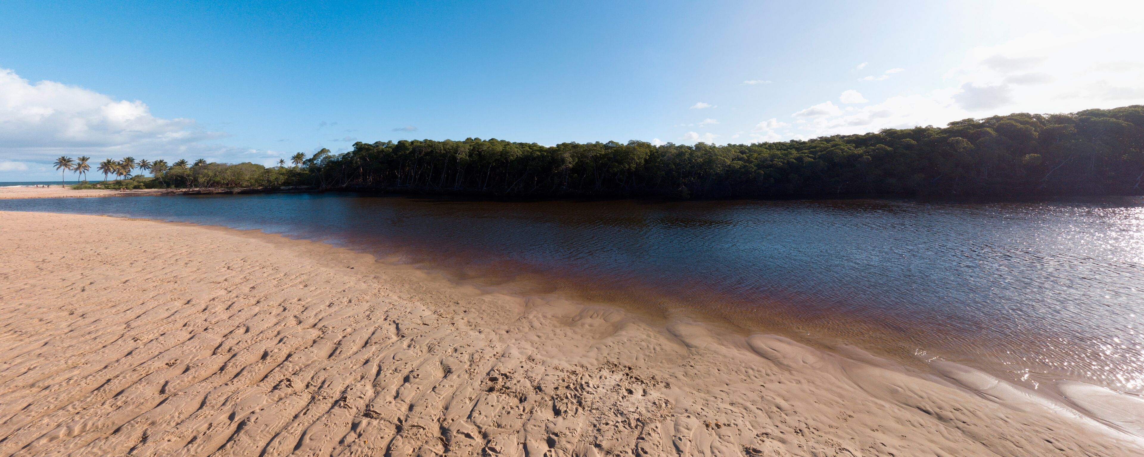 A sandy beach with gentle waves, a clear sky, and a forested island in the background.