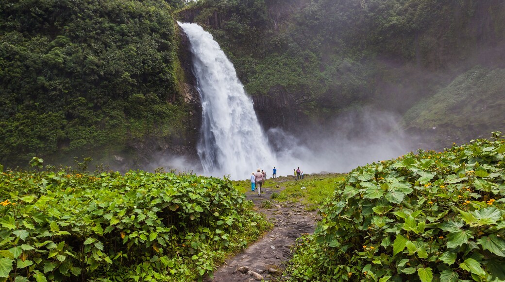 Cascada Río Malo, powerful and huge waterfall of white water in El Chaco, Napo province