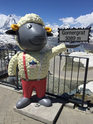 Matterhorn in the distance #zermatt #switzerland #matterhorn