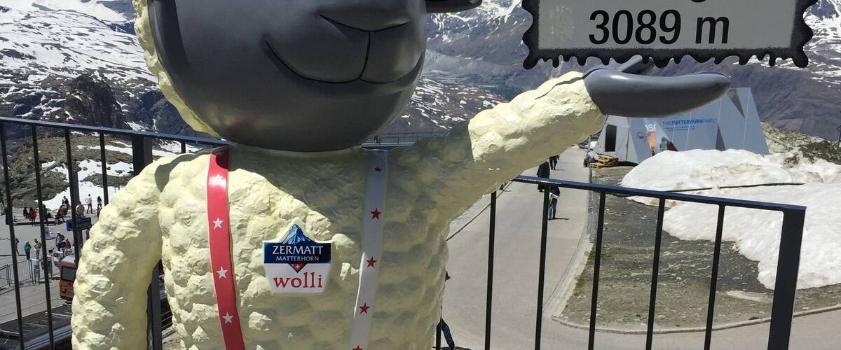A large sheep statue with a sign indicating 'Gornergrat 3089 m'.