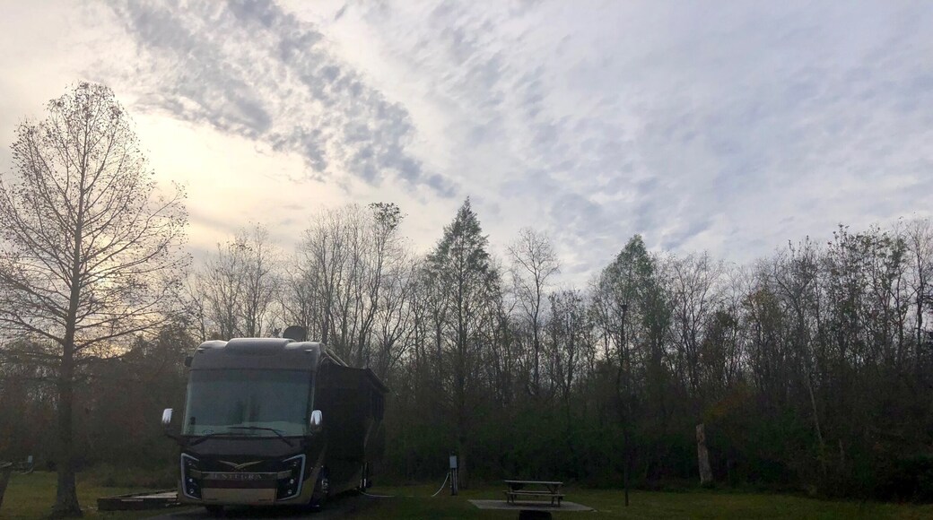 Our house on wheels all settled in at our current homesite. This state park is very conveniently located to New Orleans and all it has to offer.