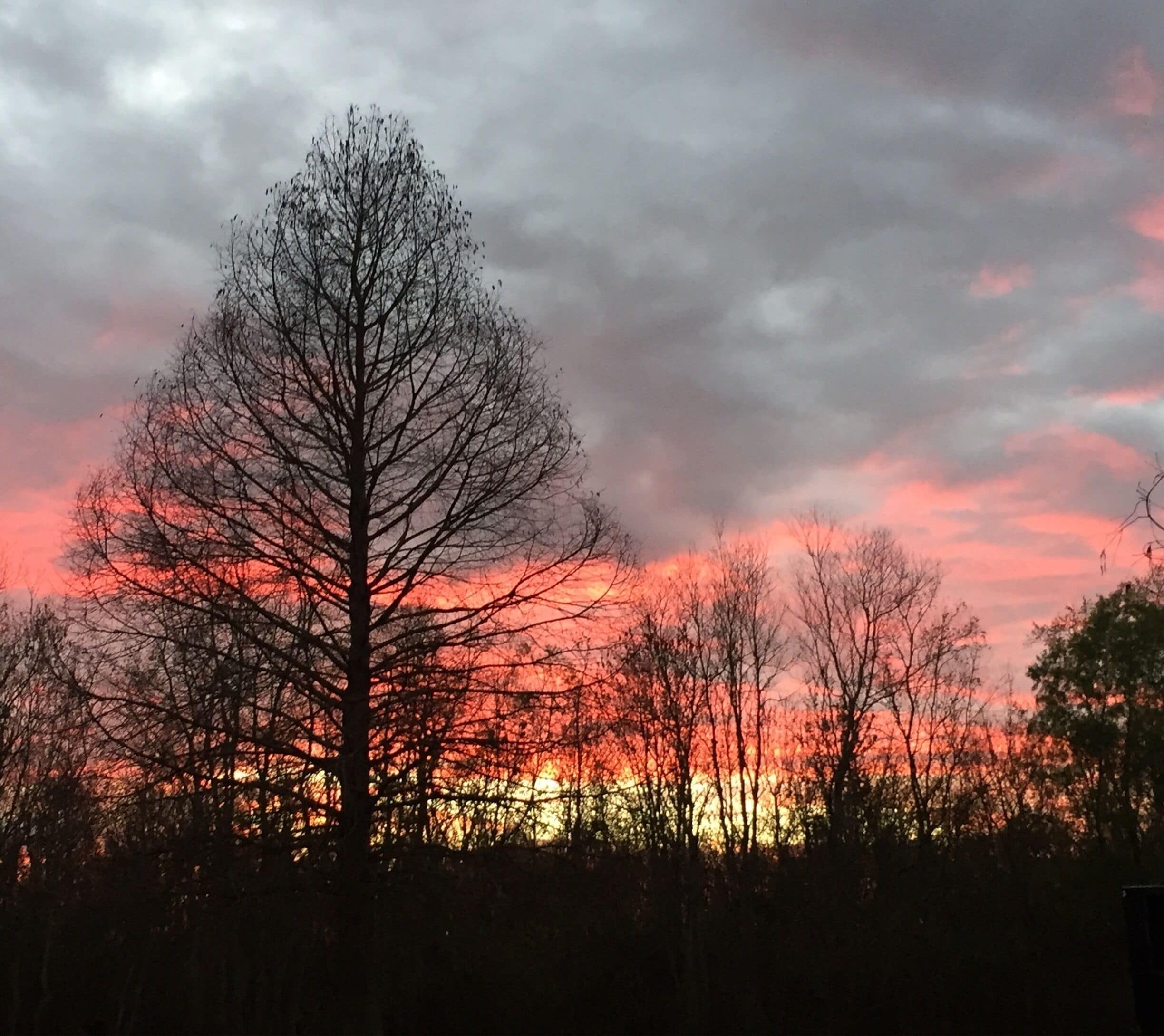 Beautiful sunset from our campsite tonight. 