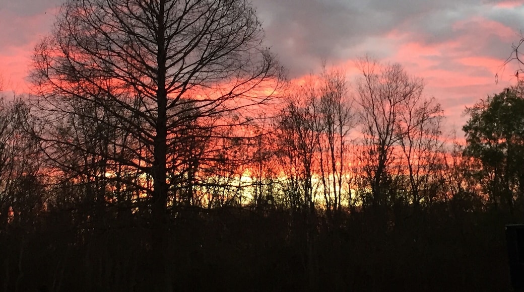 Beautiful sunset from our campsite tonight.
